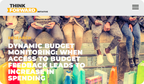 Think Forward Initiative - Dynamic Budget Monitoring