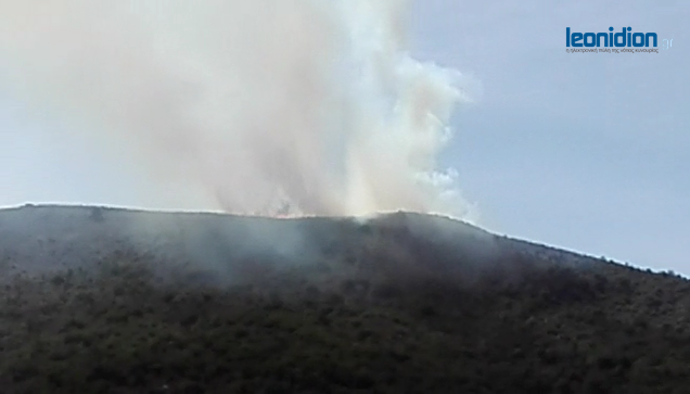 Πυρκαγιά στην Κυνουρία (βίντεο)