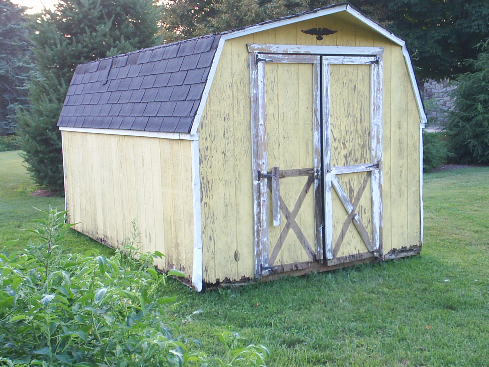 Shed Transformation