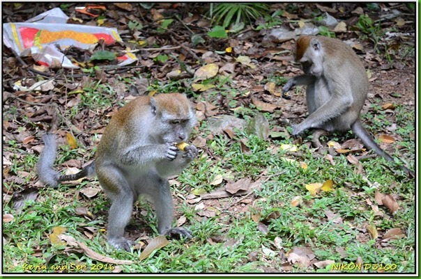 Trip to Malaysia - December