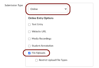 Assignment  settings showing "Online" as the submission type and "File Uploads" as an option