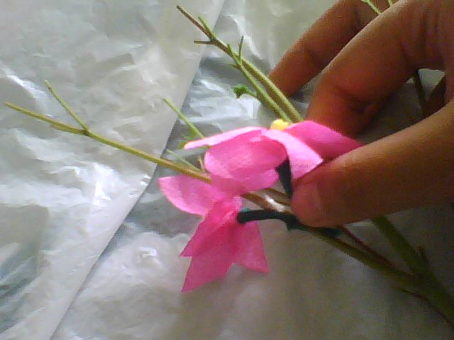 Membuat Bunga  Sakura  dari  kertas  krep  Miracle Flowers