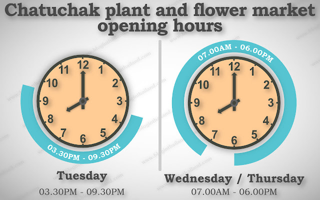 Chatuchak plant and flower market opening hours