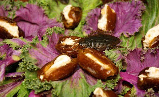 Gross Halloween Appetizers by Megan's Cookin