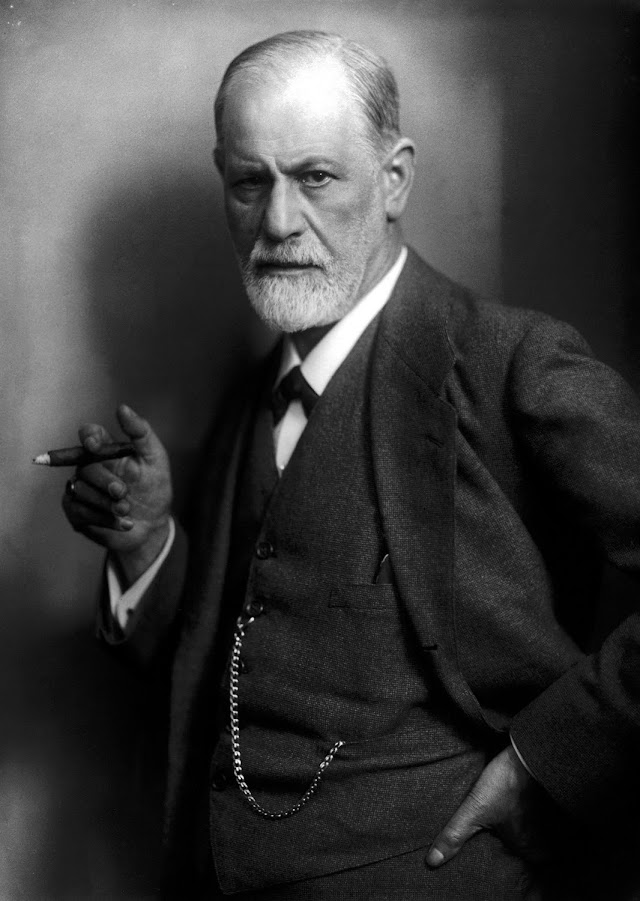 Freud Pai Da Psicanalise séc?