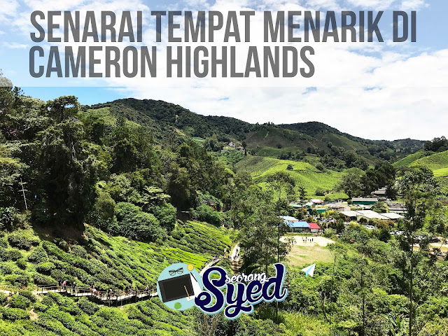 Senarai Tempat Menarik di Cameron Highlands yang Wajib Dilawati