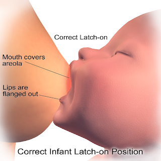 Correct infant latch-on position