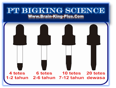 Brainking Plus Termurah, Brainking Plus Online, Brainking Onloine, Jual Brainking Online, Jual Brainking Plus Online, Pusat Brainking Plus Online, Order Brainking Plus Online, cara Beli Brainking