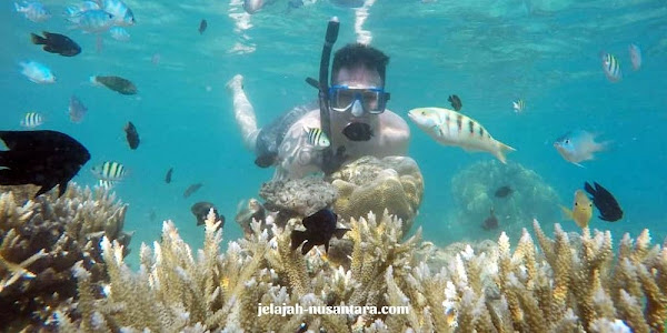 selam permukaan private wisata pulau harapan