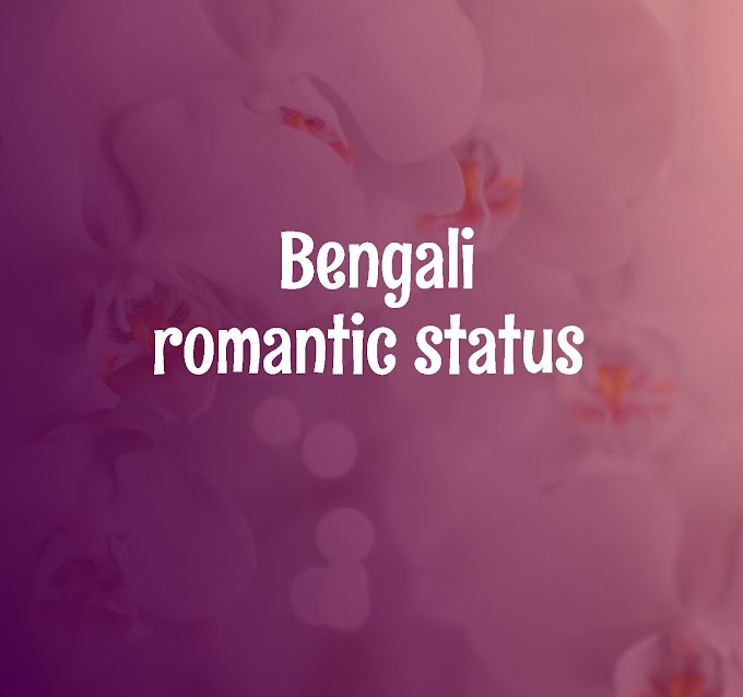  Bengali Romantic Status | share romantic status in bengali on whatsapp