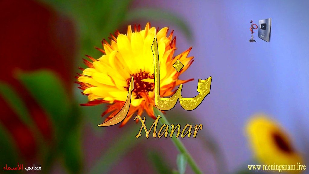 معنى اسم منار, وصفات, حامل, وحاملة, هذا الاسم, Manar,