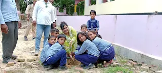 जौनपुर: वृहद पौधरोपण का एसडीएम ने किया शुभारंभ  | #NayaSaveraNetwork