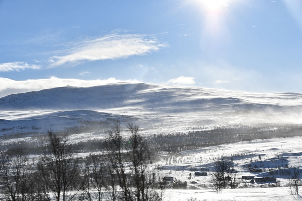 dovrefjell