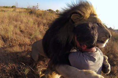 Los derechos de los animales deben ser iguales al del ser humano