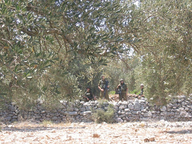  Israeli soldiers between the olive trees in Kefel Hares- Jilly lovesdurhans/flickr