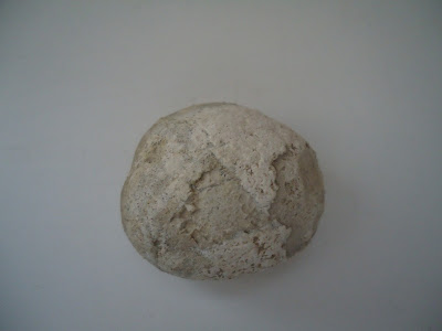 Fossil Tortoise/Turtle egg