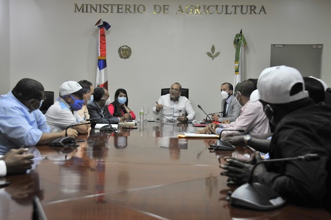 Ministerio de Agricultura trabaja para disminuir precios de la cebolla y mejorar comercialización 