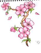 flowers drawing. Description. : Drawings of Flowers (sakura flower drawing)