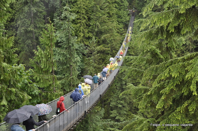 Capilano_Suspension_Bridge_Park_Vancouver_Canada