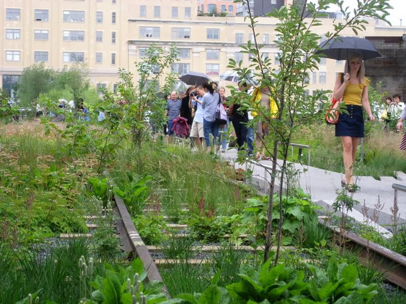 People walking on High Line Park, New York