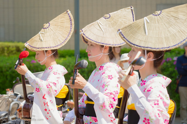 紅連　阿波踊り