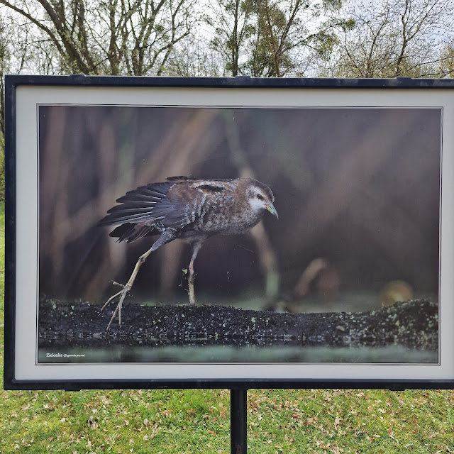 Śląski Ogród Botaniczny