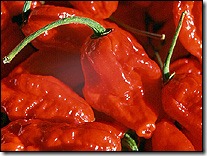 naga chilli