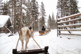 Winter Activities Finland