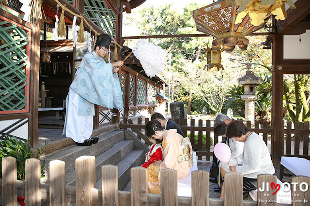 御香宮神社で七五三出張撮影