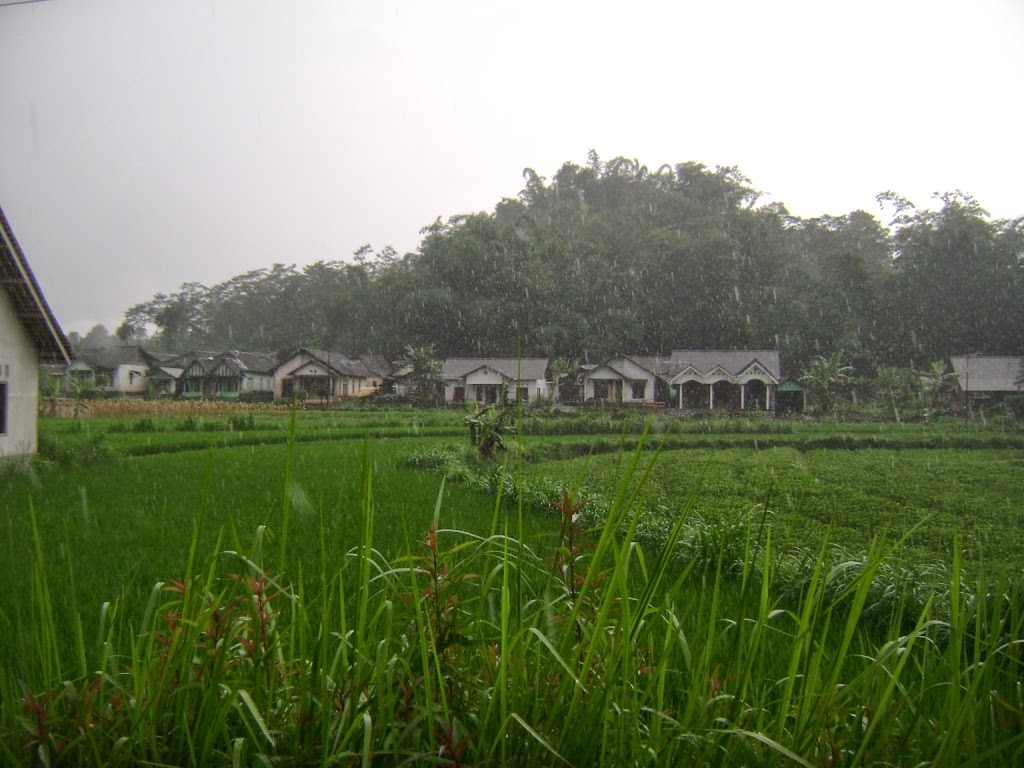 Jual Tanah Kebun Sawah di Temanggung Info Seputar 