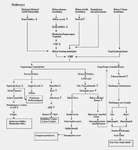 LAPORAN PENDAHULUAN CHF