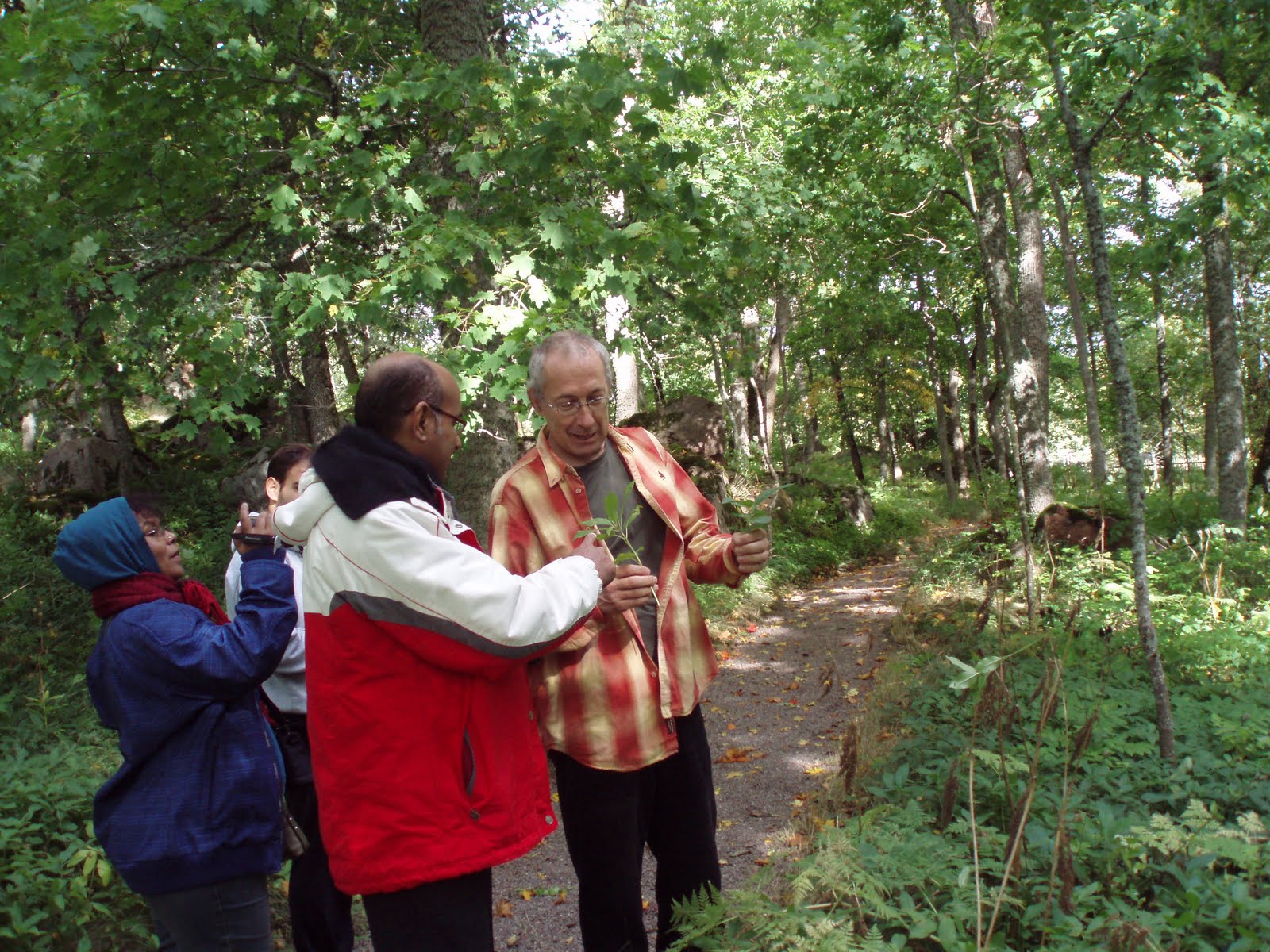 Prof. Liden explaining the theme plant of the first paper of Linn