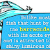 Barracuda - Barracuda Fish Facts