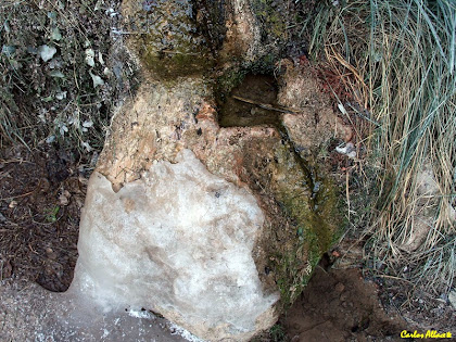 La Font dels Gossos. Autor: Carlos Albacete