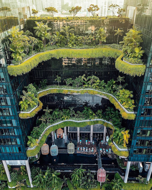 An eco hotel in Singapore