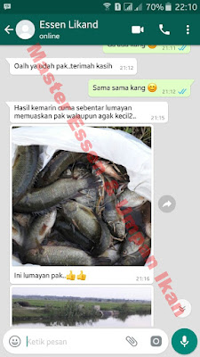 Essen Ikan Nila Khusus Siang Hari
