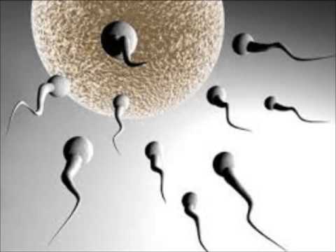 ¿Por qué la edad es clave en la fertilidad femenina y masculina?