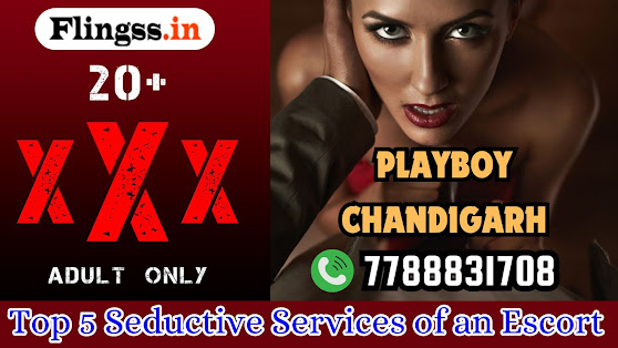 Playboy Chandigarh