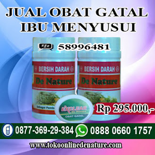 JUAL OBAT GATAL IBU MENYUSUI