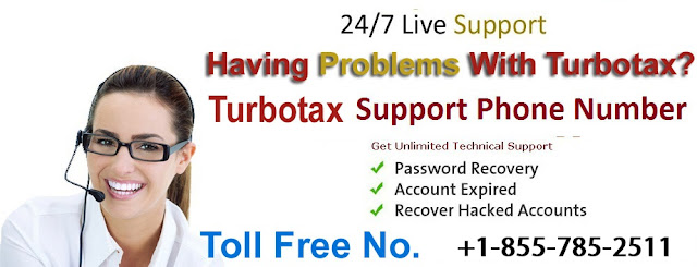 How much renewal turbo-tax support?