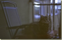 JB_20090616_0015