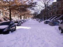 Brooklyn Blizzard