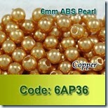 6AP36 copy