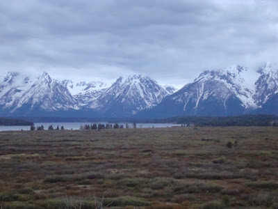 View of Grand Tetons from Jackson Lake Lodge