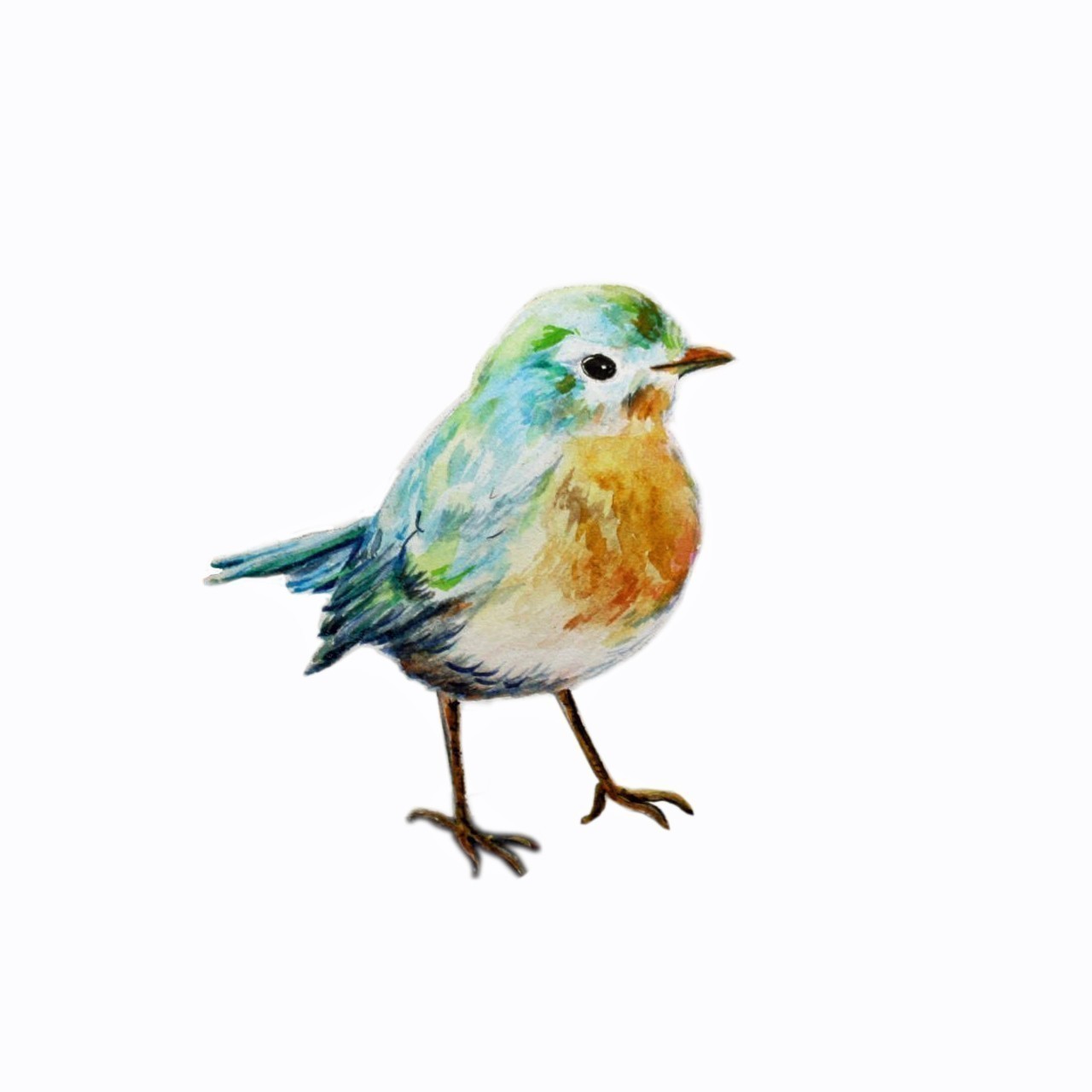 Bird In Everything: Watercolor Bird Paintings
