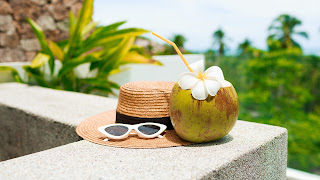 Best Tender Coconut Suppliers in Bangalore