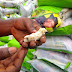 Patience Jonathan fooled Bayelsa Women With Expired Rice