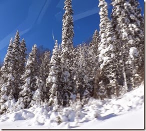 Winter Jan-2014 001