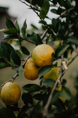 Health Benefits of Citron