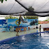  Dolphin Center Batang Jawa Tengah